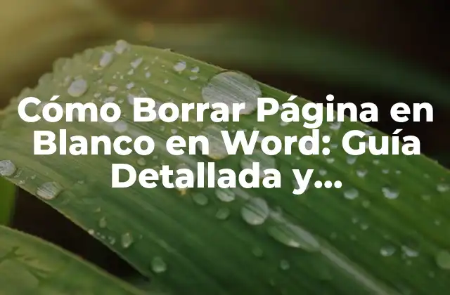 Cómo Borrar Página en Blanco en Word: Guía Detallada y Actualizada