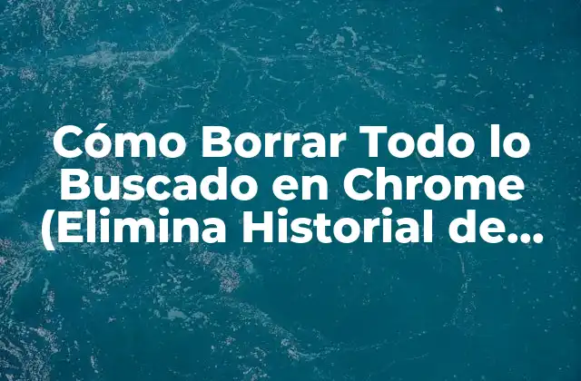 Cómo Borrar Todo Lo Buscado en Chrome (elimina Historial de Navegación)