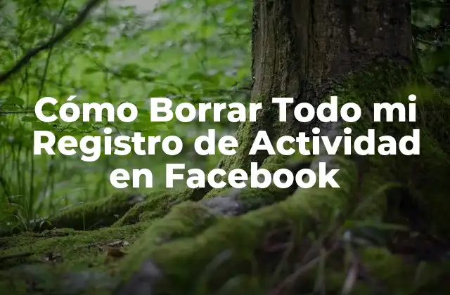 Cómo Borrar Todo Mi Registro de Actividad en Facebook