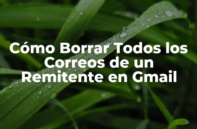 Cómo Borrar Todos los Correos de un Remitente en Gmail