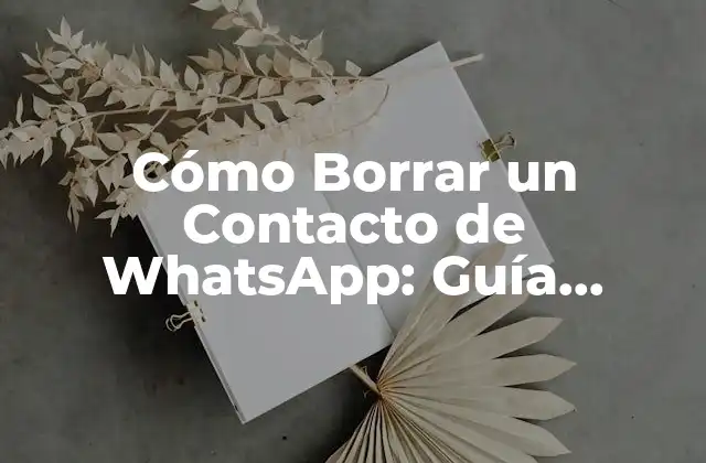 Cómo Borrar un Contacto de Whatsapp: Guía Completa