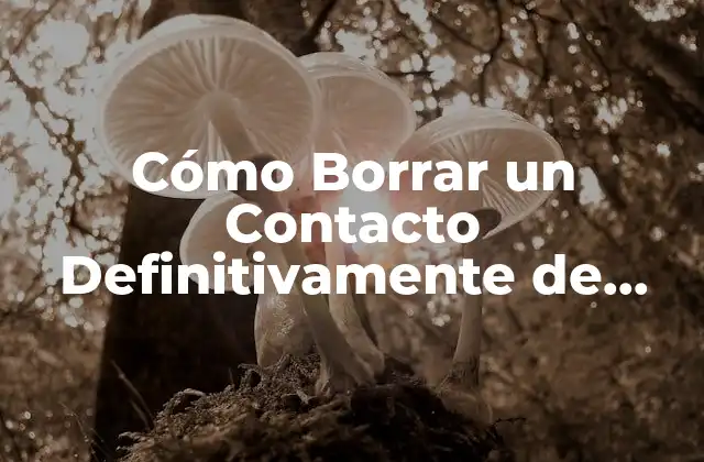 Cómo Borrar un Contacto Definitivamente de Whatsapp (eliminación Permanente)