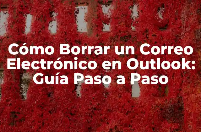 Cómo Borrar un Correo Electrónico en Outlook: Guía Paso a Paso