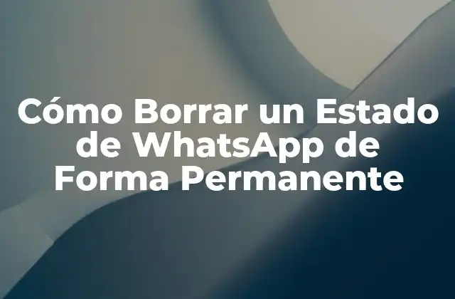 ¿Por qué es Importante Borrar un Estado de WhatsApp?