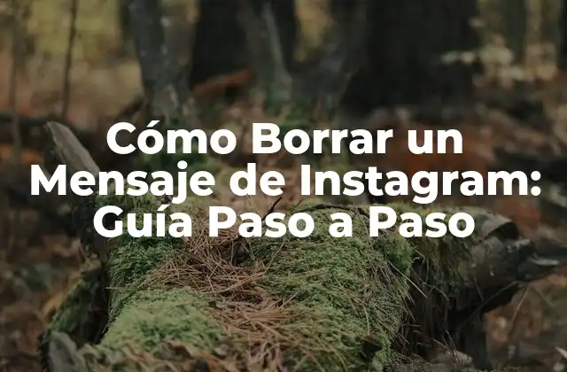Cómo Borrar un Mensaje de Instagram: Guía Paso a Paso