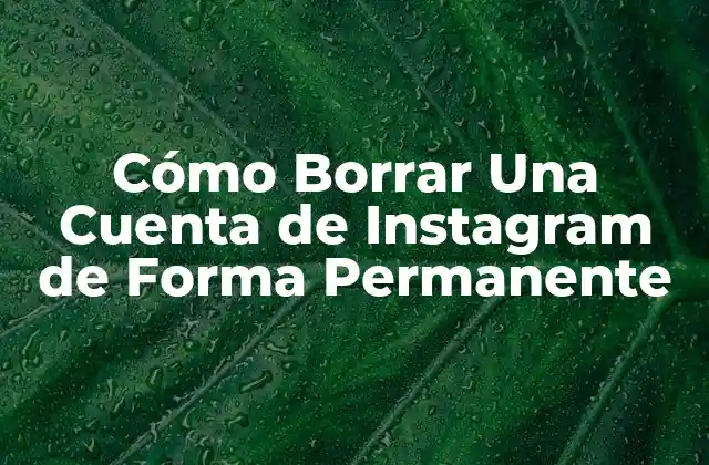 ¿Por qué Quieres Borrar Tu Cuenta de Instagram?