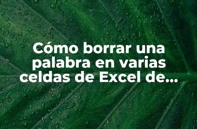 Cómo Borrar una Palabra en Varias Celdas de Excel de Manera Rápida y Eficiente 2 ¿Por qué es importante aprender a borrar palabras en Excel?