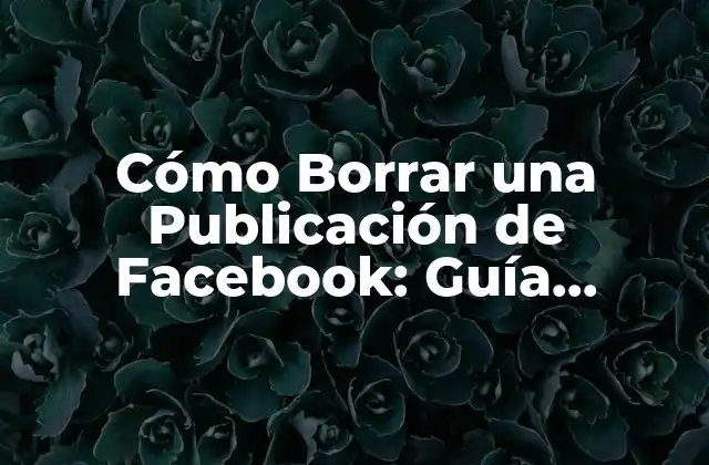 Cómo Borrar una Publicación de Facebook: Guía Detallada y Actualizada