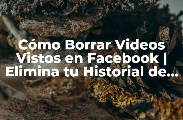 Cómo Borrar Videos Vistos en Facebook | Elimina Tu Historial de Vídeos