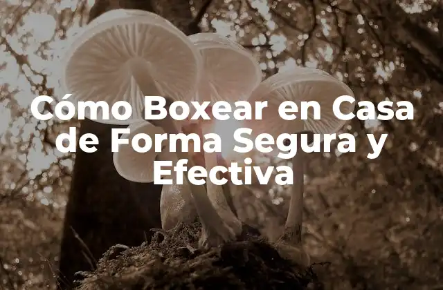 Cómo Boxear en Casa de Forma Segura y Efectiva