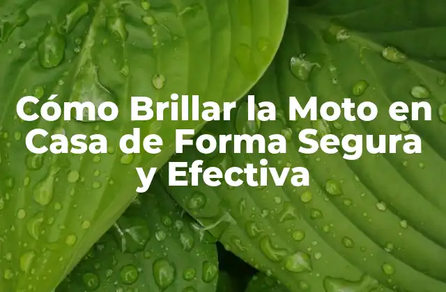 Beneficios de Brillar la Moto en Casa
