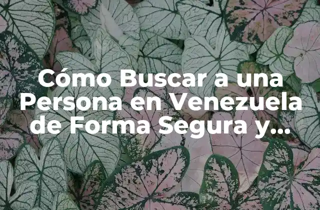 Cómo Buscar a una Persona en Venezuela de Forma Segura y Eficaz