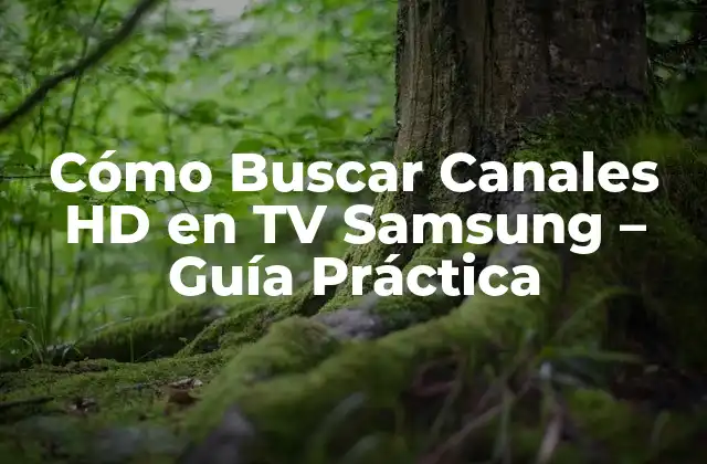Cómo Buscar Canales Hd en Tv Samsung – Guía Práctica