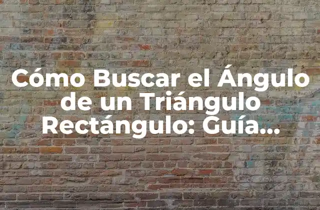 Definición y Propiedades de un Triángulo Rectángulo