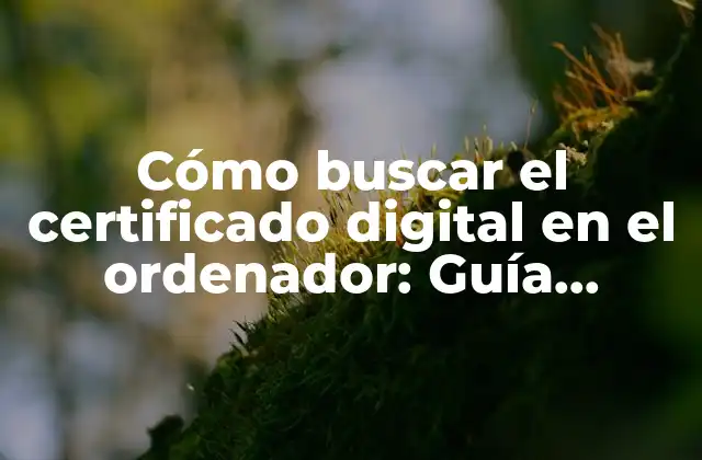 Cómo Buscar el Certificado Digital en el Ordenador: Guía Práctica