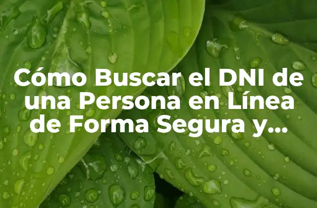 Cómo Buscar el Dni de una Persona en Línea de Forma Segura y Legal