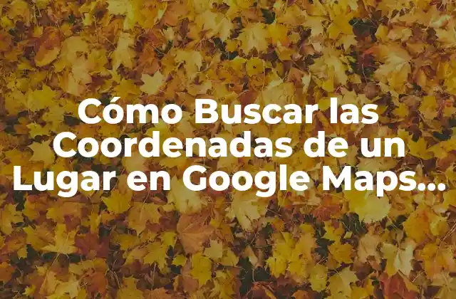 Cómo Buscar las Coordenadas de un Lugar en Google Maps y Otros Servicios