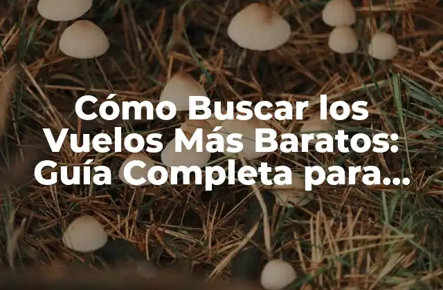 Cómo Buscar los Vuelos Más Baratos: Guía Completa para Ahorrar Dinero