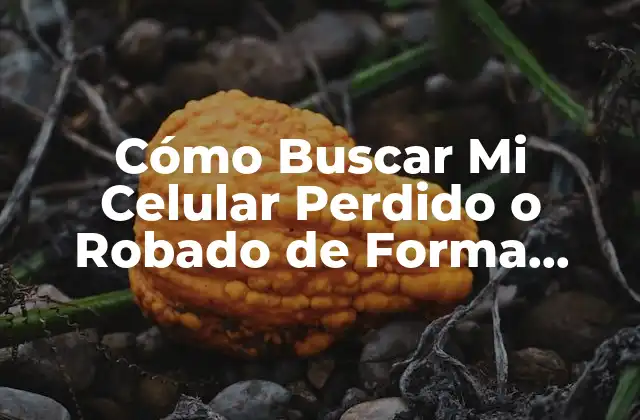 Cómo Buscar Mi Celular Perdido o Robado de Forma Segura 2 ¿Cómo Puedo Encontrar Mi Celular Perdido?