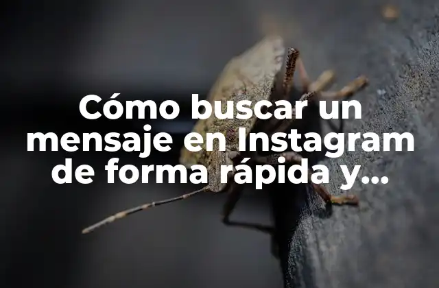 ¿Por qué es importante saber buscar un mensaje en Instagram?