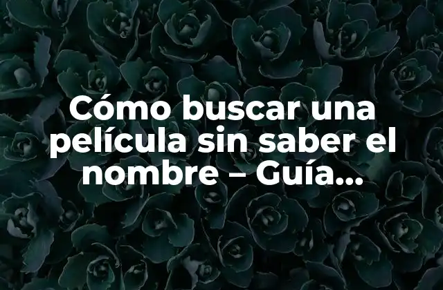 Cómo Buscar una Película sin Saber el Nombre – Guía Definitiva