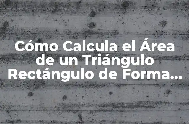 Cómo Calcula el Área de un Triángulo Rectángulo de Forma Fácil y Rápida
