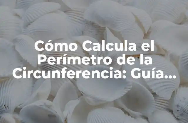 Cómo Calcula el Perímetro de la Circunferencia: Guía Detallada