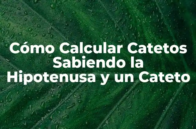 Cómo Calcular Catetos Sabiendo la Hipotenusa y un Cateto
