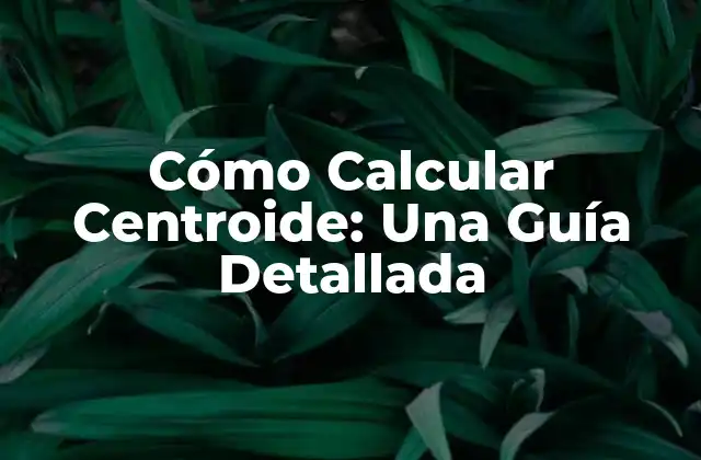 Cómo Calcular Centroide: una Guía Detallada