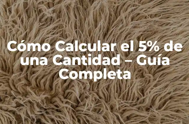 Cómo Calcular el 5% de una Cantidad - Guía Completa 2 ¿Por qué es Importante Calcular el 5 por Ciento de una Cantidad?