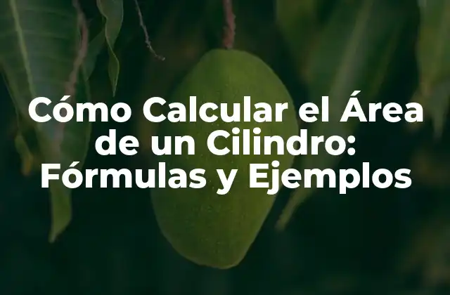 Cómo Calcular el Área de un Cilindro: Fórmulas y Ejemplos
