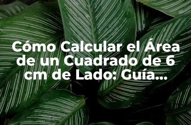 Cómo Calcular el Área de un Cuadrado de 6 Cm de Lado: Guía Practica