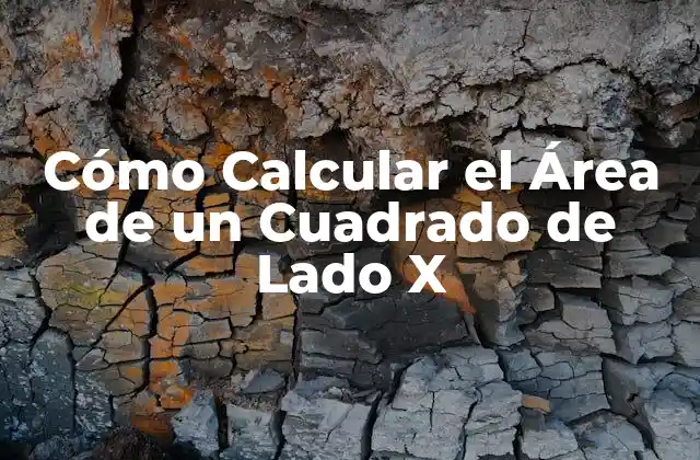 Cómo Calcular el Área de un Cuadrado de Lado X