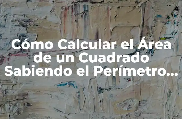 Cómo Calcular el Área de un Cuadrado Sabiendo el Perímetro – Fórmula y Ejemplos