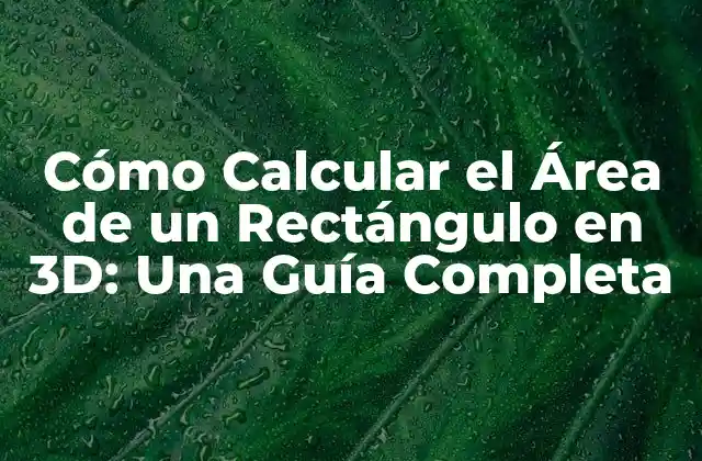 Cómo Calcular el Área de un Rectángulo en 3d: una Guía Completa