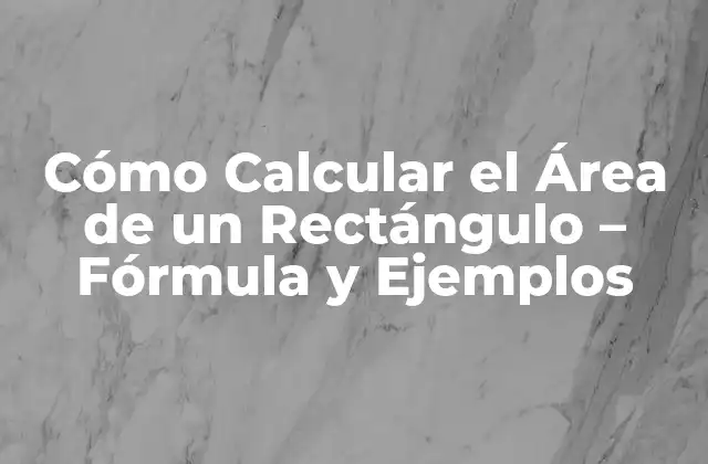 Cómo Calcular el Área de un Rectángulo – Fórmula y Ejemplos