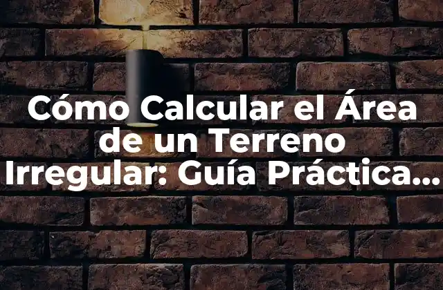 Cómo Calcular el Área de un Terreno Irregular: Guía Práctica y Detallada