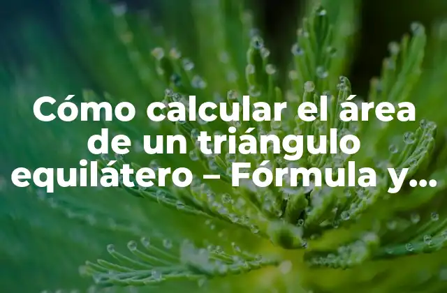 Cómo Calcular el Área de un Triángulo Equilátero – Fórmula y Ejemplos