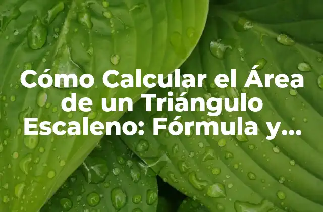 Cómo Calcular el Área de un Triángulo Escaleno: Fórmula y Ejemplos