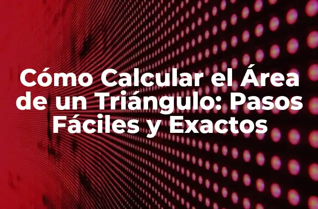 Cómo Calcular el Área de un Triángulo: Pasos Fáciles y Exactos