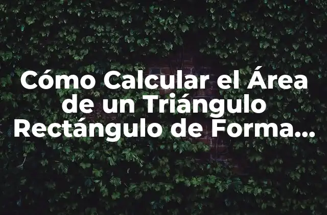 Cómo Calcular el Área de un Triángulo Rectángulo de Forma Fácil