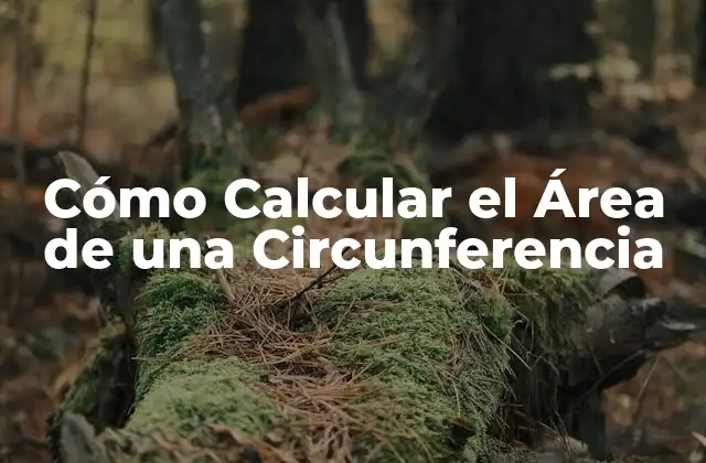 Cómo Calcular el Área de una Circunferencia