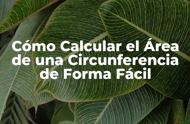 Cómo Calcular el Área de una Circunferencia de Forma Fácil