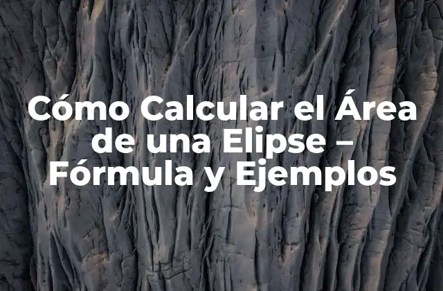 Cómo Calcular el Área de una Elipse – Fórmula y Ejemplos