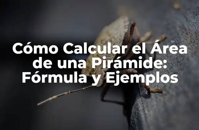 Cómo Calcular el Área de una Pirámide: Fórmula y Ejemplos