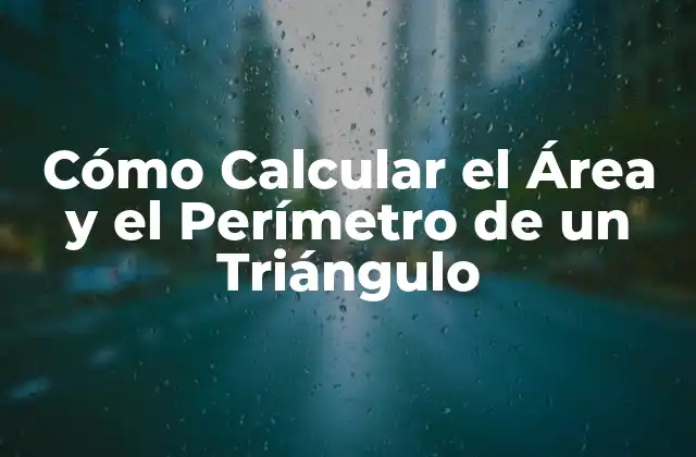 Cómo Calcular el Área y el Perímetro de un Triángulo