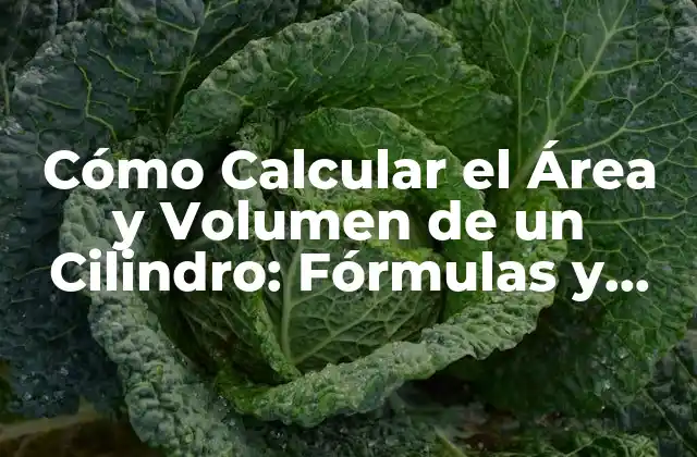 Cómo Calcular el Área y Volumen de un Cilindro: Fórmulas y Ejemplos
