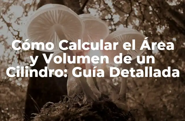 Cómo Calcular el Área y Volumen de un Cilindro: Guía Detallada