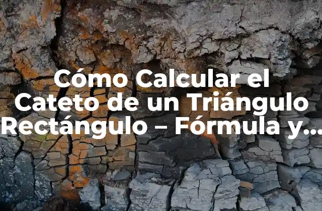 Cómo Calcular el Cateto de un Triángulo Rectángulo – Fórmula y Ejemplos