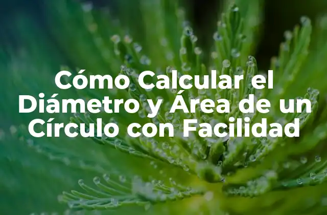 Cómo Calcular el Diámetro y Área de un Círculo con Facilidad 2 Definición de Diámetro y Área de un Círculo